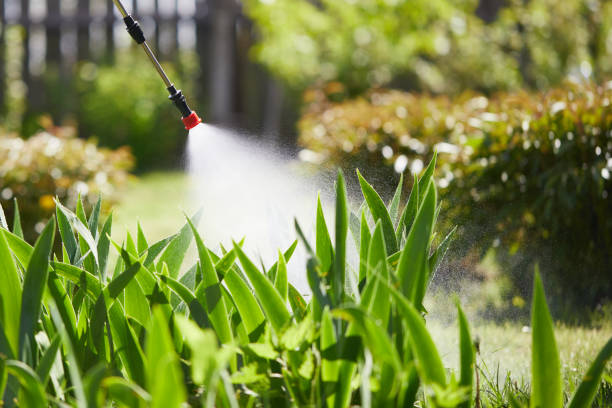 24/7 Emergency Fumigation Services experts in Berkshire Lakes, FL